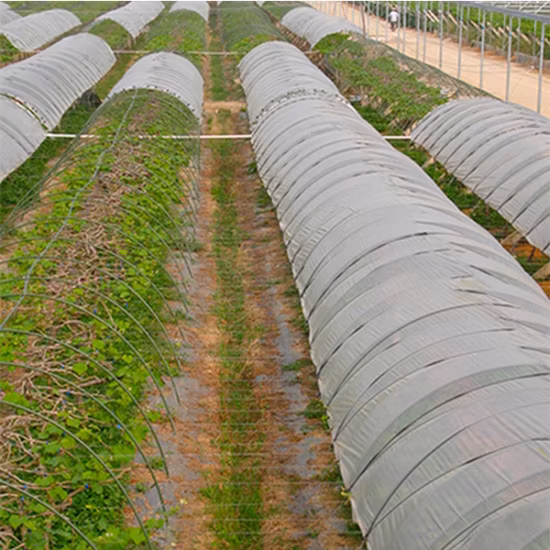 PP Spun Bonded Nonwoven Fabric for Agricultural Landscape Fabric
